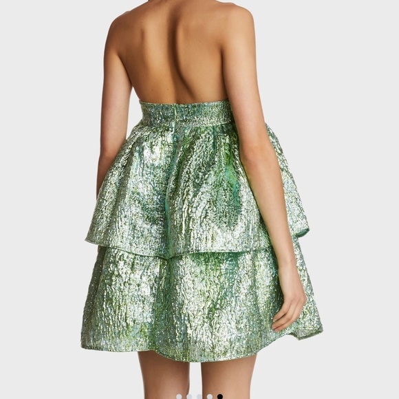 AMYLYNN  SARA STRAPLESS TIERED DRESS NWT- price is firm - Picture 3 of 10